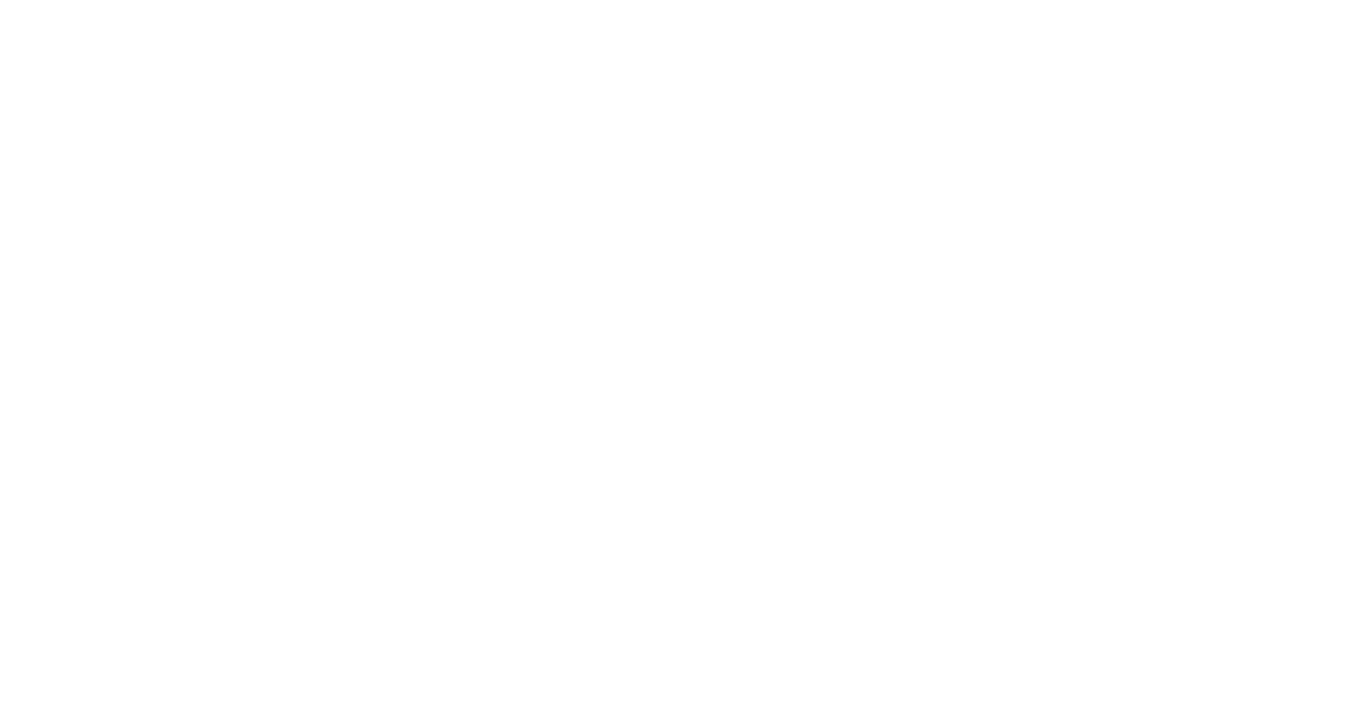 Marobrain Logo